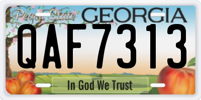 GA license plate QAF7313