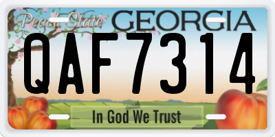 GA license plate QAF7314
