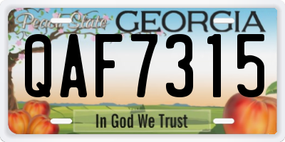 GA license plate QAF7315