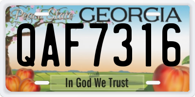GA license plate QAF7316