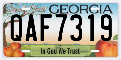 GA license plate QAF7319