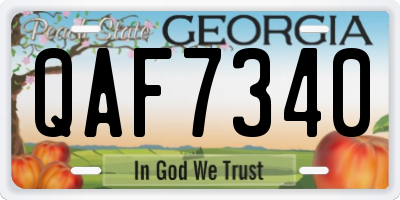 GA license plate QAF7340