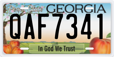 GA license plate QAF7341