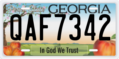 GA license plate QAF7342