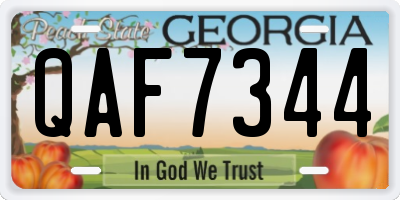 GA license plate QAF7344