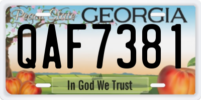 GA license plate QAF7381