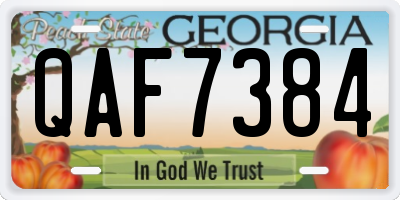 GA license plate QAF7384