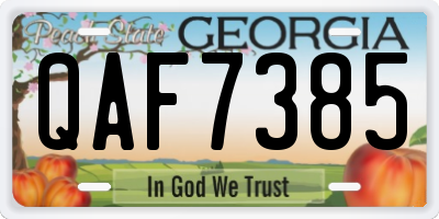 GA license plate QAF7385