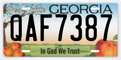 GA license plate QAF7387