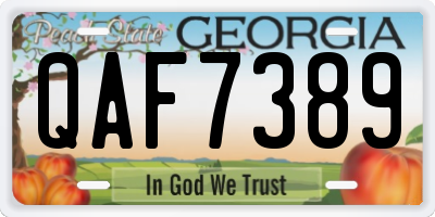 GA license plate QAF7389