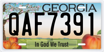 GA license plate QAF7391