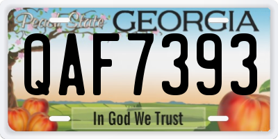 GA license plate QAF7393
