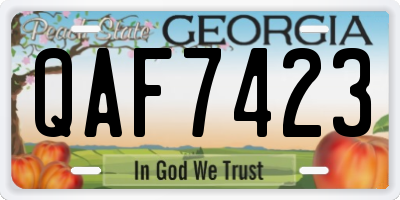 GA license plate QAF7423