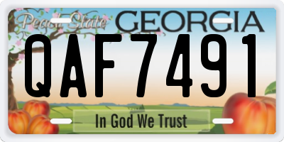 GA license plate QAF7491