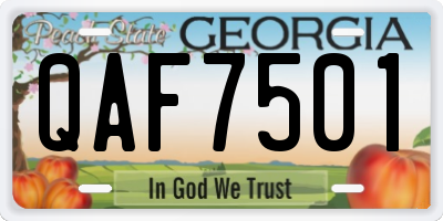 GA license plate QAF7501