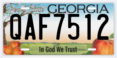 GA license plate QAF7512