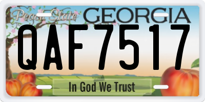 GA license plate QAF7517
