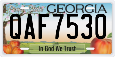 GA license plate QAF7530