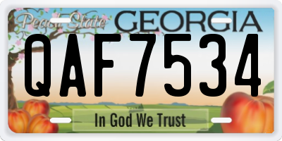 GA license plate QAF7534
