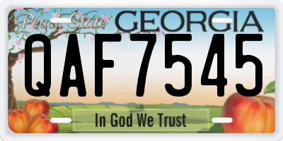GA license plate QAF7545