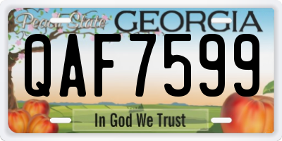 GA license plate QAF7599