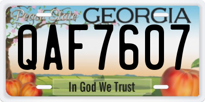 GA license plate QAF7607