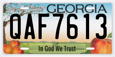 GA license plate QAF7613