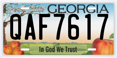 GA license plate QAF7617