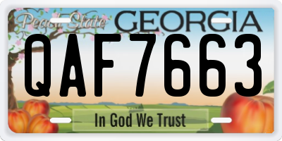 GA license plate QAF7663