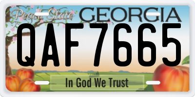 GA license plate QAF7665