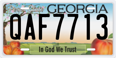 GA license plate QAF7713