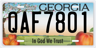 GA license plate QAF7801