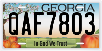 GA license plate QAF7803