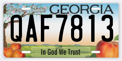 GA license plate QAF7813
