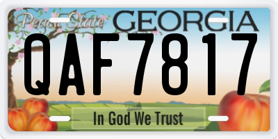 GA license plate QAF7817