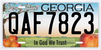 GA license plate QAF7823