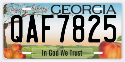 GA license plate QAF7825