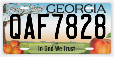 GA license plate QAF7828