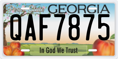 GA license plate QAF7875