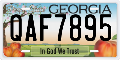 GA license plate QAF7895