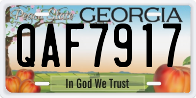 GA license plate QAF7917