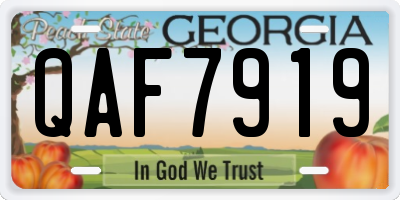 GA license plate QAF7919