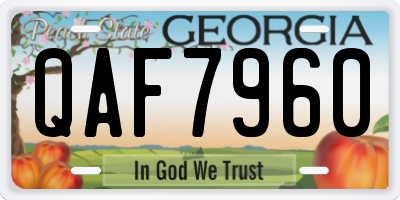 GA license plate QAF7960