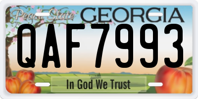 GA license plate QAF7993