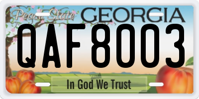 GA license plate QAF8003