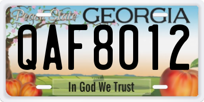 GA license plate QAF8012