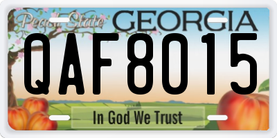 GA license plate QAF8015