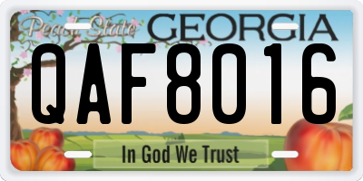 GA license plate QAF8016