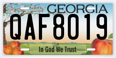 GA license plate QAF8019