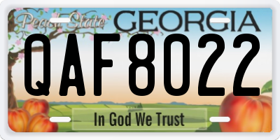 GA license plate QAF8022